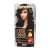 DELIA COSMETICS CAMELEO OMEGA Farba permanentna 1.0 Black