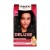 H PALETTE DELUXE 800-ciemny brąz new&amp;